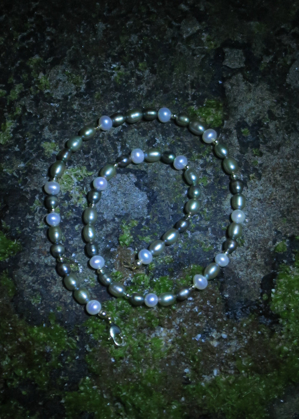 Clove